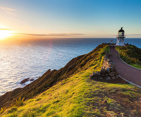 White Sands Apaprtments Activities Cape Reinga