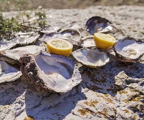 White Sands Apaprtments Activities collecting oysters